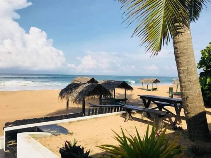 Sea Shine Guest House Hikkaduwa Exterior foto